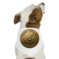 VERMONT PIPEFILLERS LOCAL 420 Union Dog Bandana - white