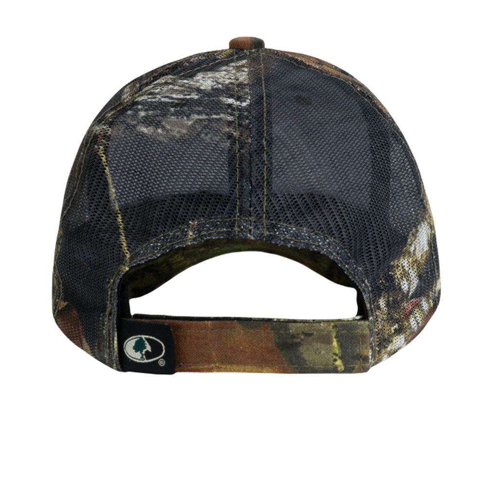 MsyOak/NewBkUp - C869 - BACK